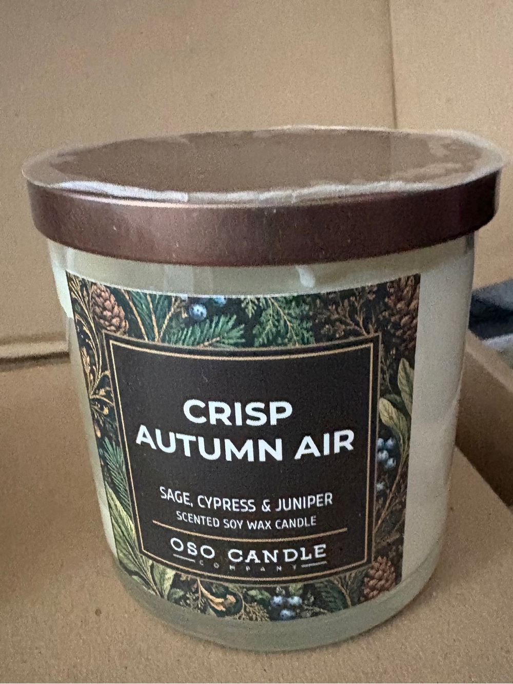 Crisp Autumn Air Scented Soy Wax Candle - Brown